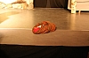 th_IMG_3509IMG_3541.jpg